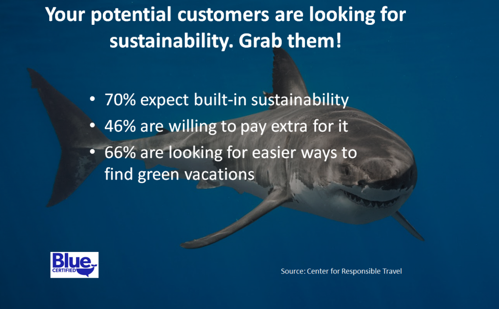 Sustainability Shark