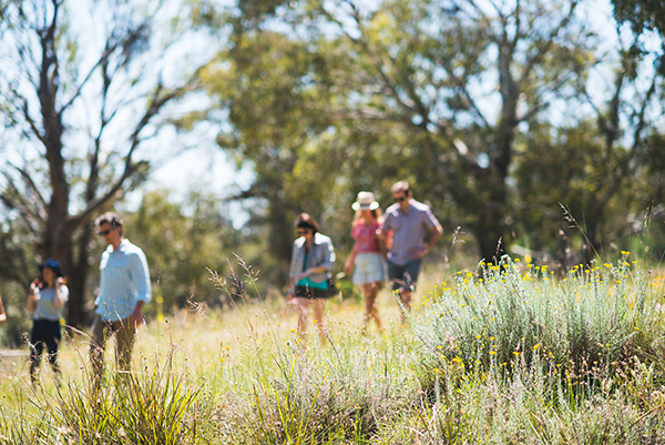 Exploring-historic-goldrush-era-villages-bushranger-history-and-country-pubs-of-Central-West-NSW-The-Roaring-Days--Photo-Credit-Silver-Compass-Tours.jpg