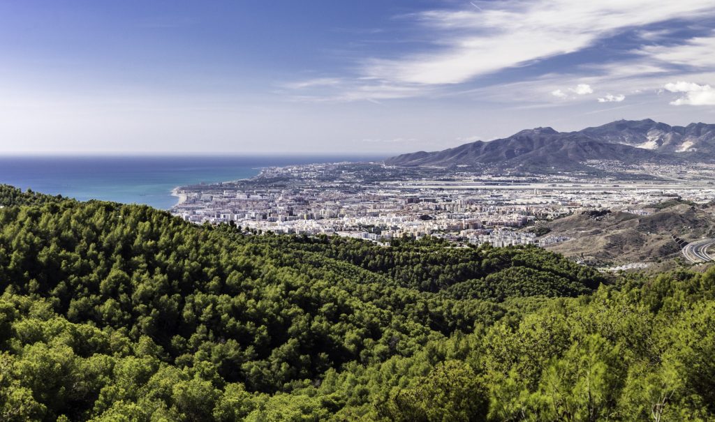 Green Malaga